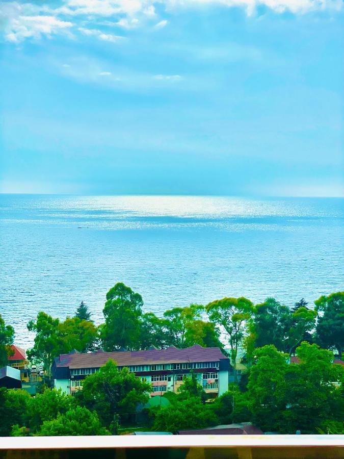 Guesthouse On Sovhoznaya 18 Gagra Buitenkant foto