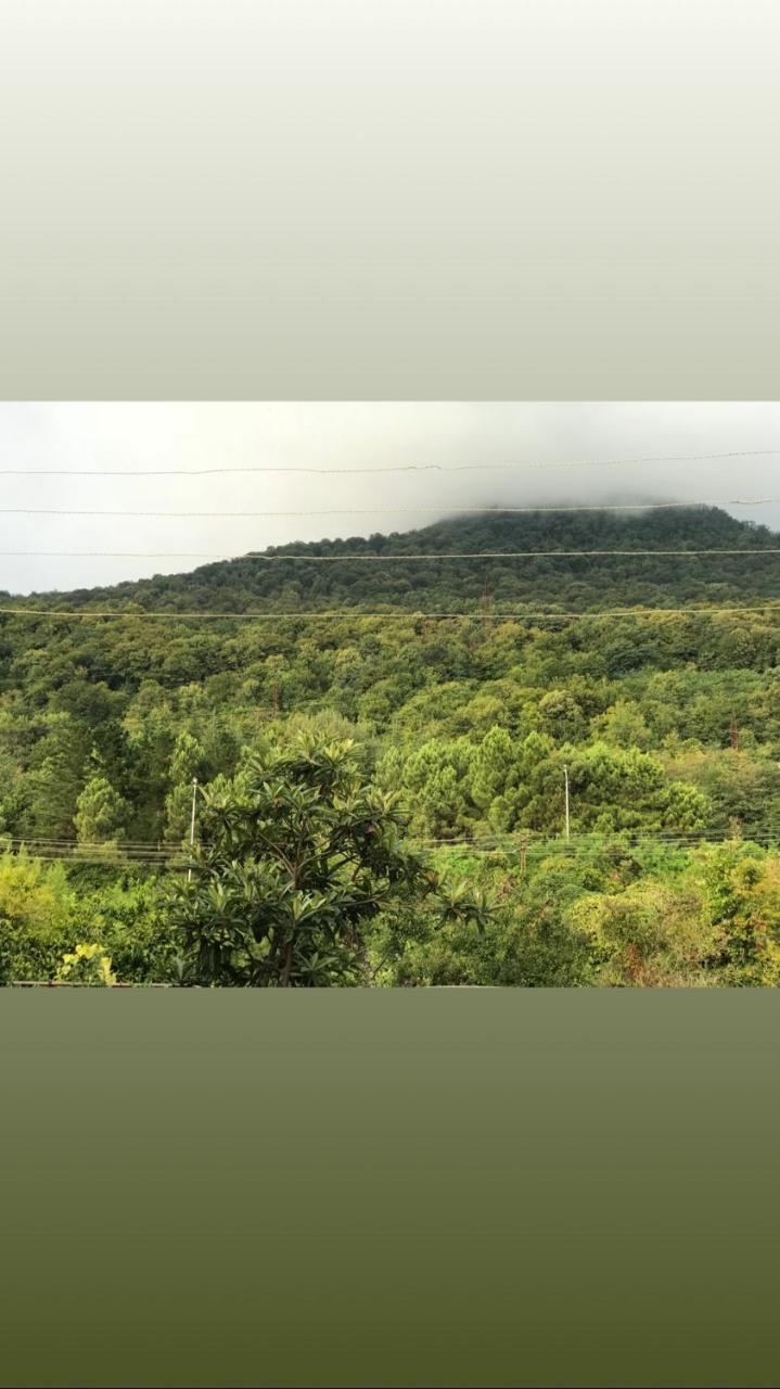 Guesthouse On Sovhoznaya 18 Gagra Buitenkant foto